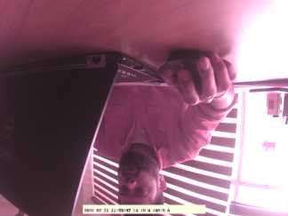 Forest monitoring image