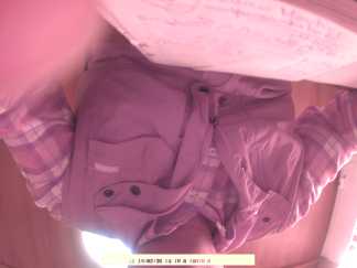 Forest monitoring image