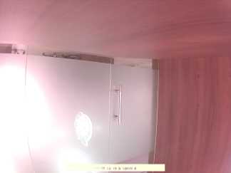 Forest monitoring image