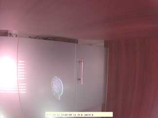 Forest monitoring image