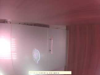 Forest monitoring image