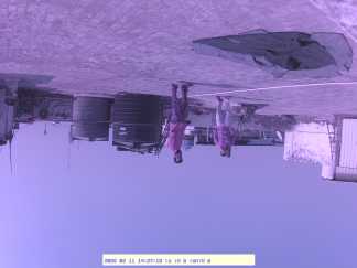 Forest monitoring image