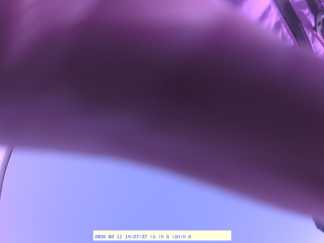 Forest monitoring image